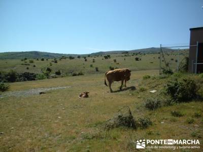 Ascensión a Valdebecerril - senderismo comunidad de madrid; senderismo y montaña singles madrid